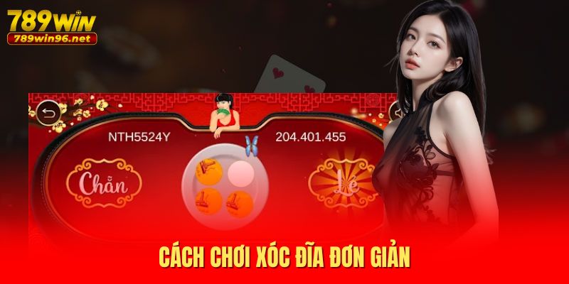 Cách chơi Xóc Đĩa đơn giản